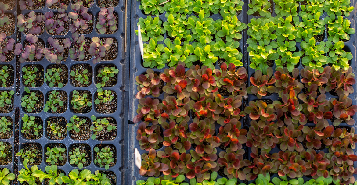 اقرأ هذه المقالة المثيرة للجدل واكتشف المزيد عن العضوية